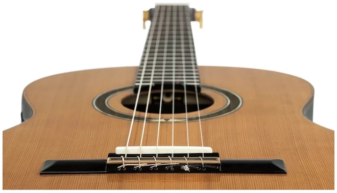גיטרה קלאסית מוגברת Ortega RE159RWSN Performer חלק עליון Solid Cedar גוף Rosewood 6 גיטרה קלאסית מוגברת Ortega RE159RWSN Performer חלק עליון Solid Cedar גוף Rosewood - תמונה 6