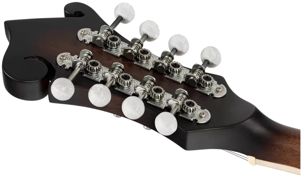 מנדולינה מסדרת Americana מדגם 30 F-Style 3 מנדולינה מסדרת Americana מדגם 30 F-Style - תמונה 3