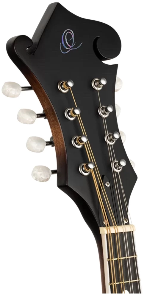 מנדולינה מסדרת Americana מדגם 30 F-Style 2 מנדולינה מסדרת Americana מדגם 30 F-Style - תמונה 2