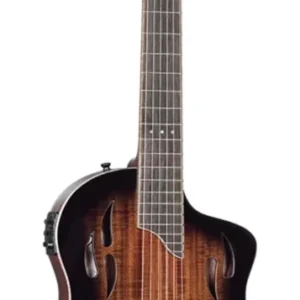 גיטרה קלאסית מוגברת Ortega TourPlayer Deluxe RTPDLX-ACA גימור אש (Fire)