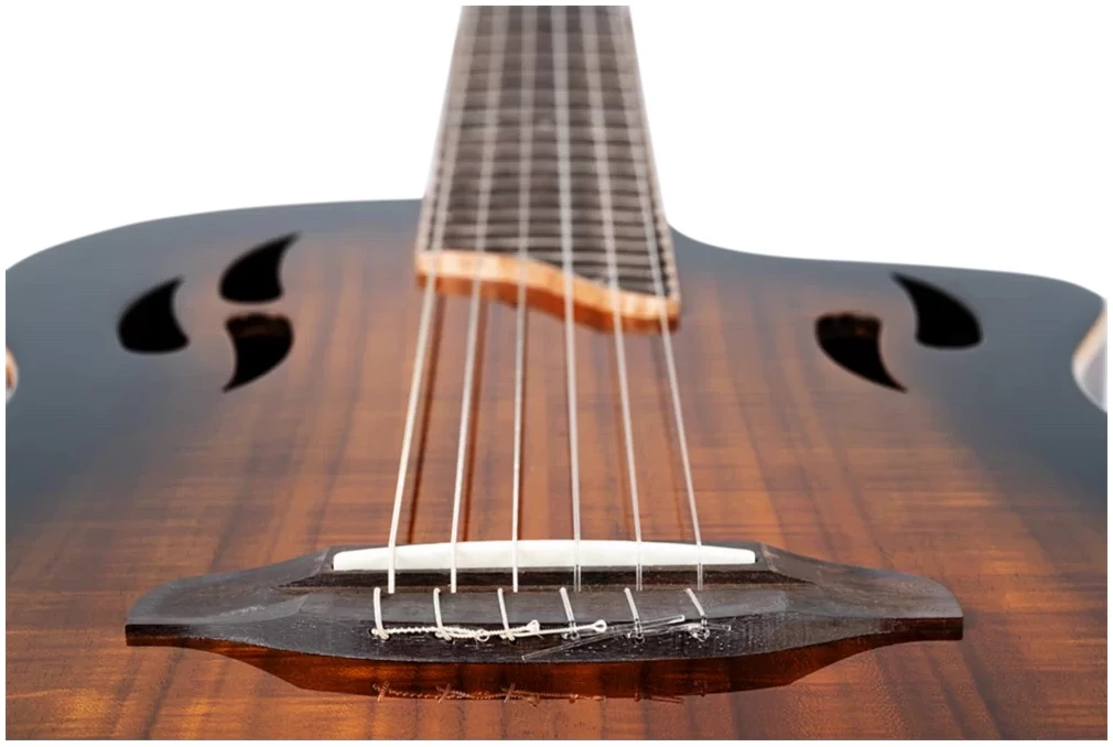 גיטרה קלאסית מוגברת Ortega TourPlayer Deluxe RTPDLX-ACA גימור אש (Fire) 6 גיטרה קלאסית מוגברת Ortega TourPlayer Deluxe RTPDLX-ACA גימור אש (Fire) - תמונה 6