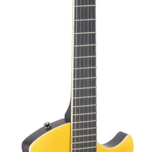 גיטרה חשמלית מדגם Silveray Nash Deluxe עם חלק על