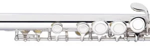 חליל צד Basic , חורים סגורים של חברת Stagg