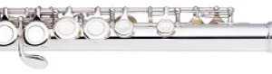 חליל צד Basic , חורים סגורים של חברת Stagg