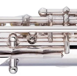 חליל צד Basic , חורים סגורים של חברת Stagg