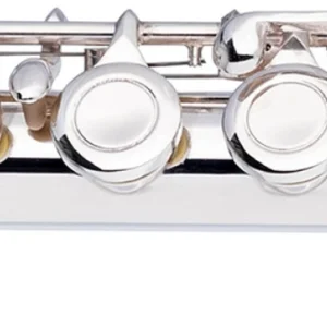 חליל צד Basic , חורים סגורים של חברת Stagg