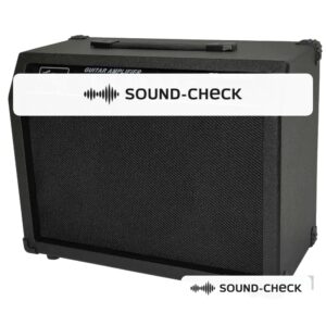 מגבר הספק BTS TG-40R-MIC – מגבר גיטרה 40W