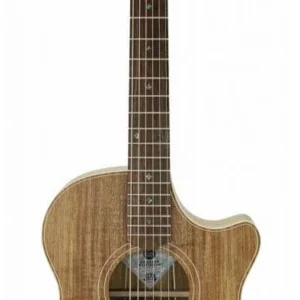 גיטרה אקוסטית TL2EC Thin Line Blackwood