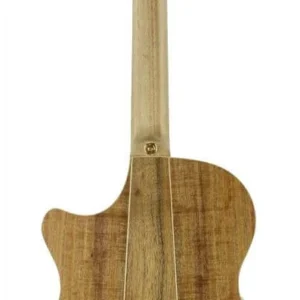 גיטרה אקוסטית TL2EC Thin Line Blackwood