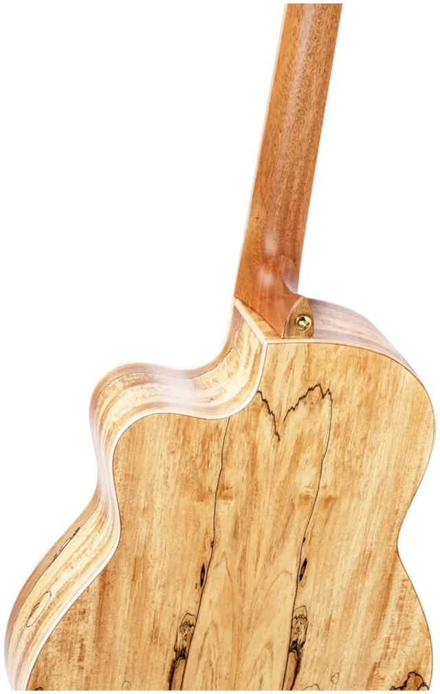 גיטרה קלאסית Ortega Thomas Zwijsen TZSM-3 טופ ארז מלא גב Spalted Maple מוגברת 4 גיטרה קלאסית Ortega Thomas Zwijsen TZSM-3 טופ ארז מלא גב Spalted Maple מוגברת - תמונה 4