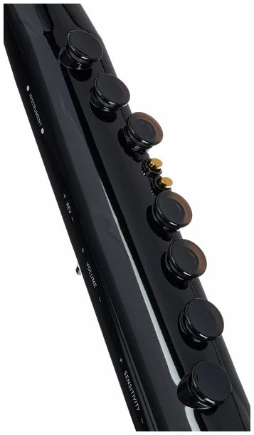 חליל דיגיטלי חכם Mooer | Wi100 BLK 6 חליל דיגיטלי חכם Mooer Mooer – תמונה 6