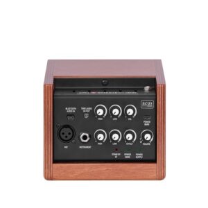 מגבר לכלים אקוסטיים Acus One ForStrings 4 Ferdi Wood 40W RMS