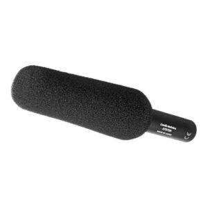 מיקרופון קונדנסר Audio-Technica AT875R