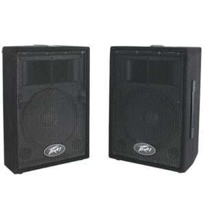 רמקול פסיבי Peavey Pvi-10