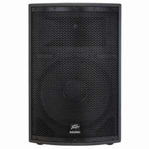 רמקול פסיבי Peavey SP 2