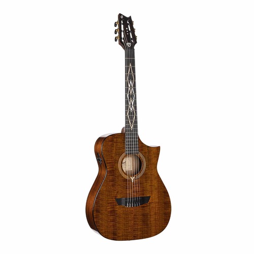 גיטרה קלאסית מוגברת עם ארגז CORT LUXE NYLON FRANK GAMBALE 1 גיטרה קלאסית מוגברת CORT LUXE NYLON FRANK GAMBALE