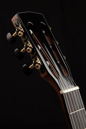 גיטרה קלאסית מוגברת CUTAWAY עם ארגז CORT Solencanto 6 גיטרה קלאסית מוגברת CORT Solencanto