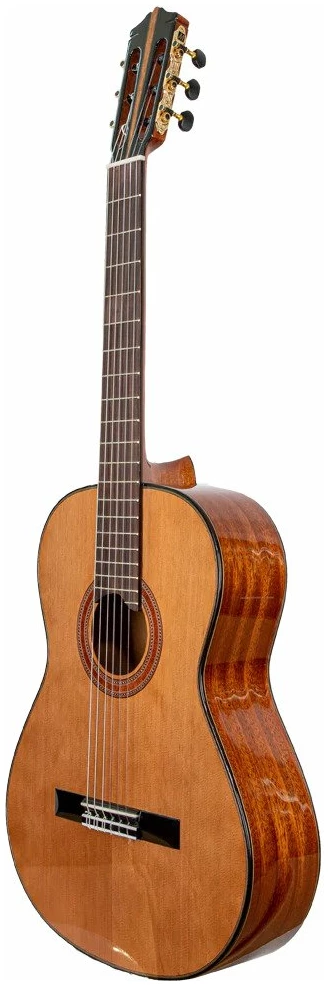 גיטרה קלאסית Martinez MC-118C סדרה 118 עץ מלא חלק עליון Solid Cedar 2 גיטרה קלאסית Martinez MC-118C - תמונה 2