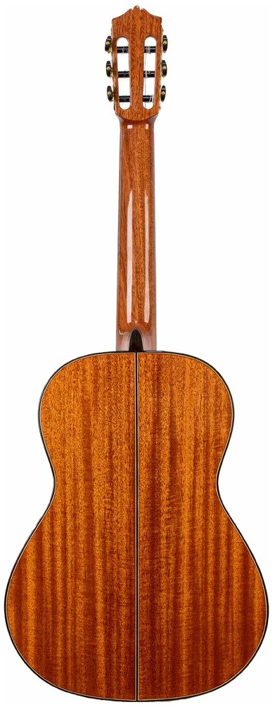 גיטרה קלאסית Martinez MC-118C סדרה 118 עץ מלא חלק עליון Solid Cedar 3 גיטרה קלאסית Martinez MC-118C - תמונה 3