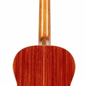גיטרה קלאסית Ortega R200SN צוואר דק Slim Neck