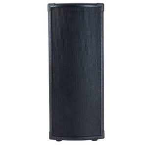 רמקול מוגבר Peavey P1BT