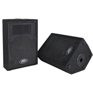 רמקול פסיבי Peavey Pvi-10