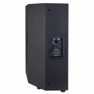 רמקול פסיבי Peavey SP 2