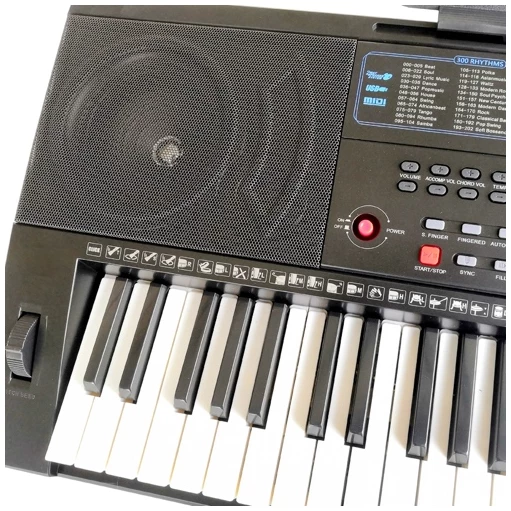 אורגנית עם כניסת פדל ססטיין Stagg STK-200 – אורגנית 61 קלידים רגישים למגע עם חיבור מידי, נגן MP3 ומטרונום מובנה 5 אורגנית עם כניסת פדל ססטיין Stagg STK-200 – אורגנית 61 קלידים רגישים למגע עם חיבור מידי, נגן MP3 ומטרונום מובנה - תמונה 5