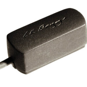 פיק אפ למנדולינה L.R. Baggs Radius-M
