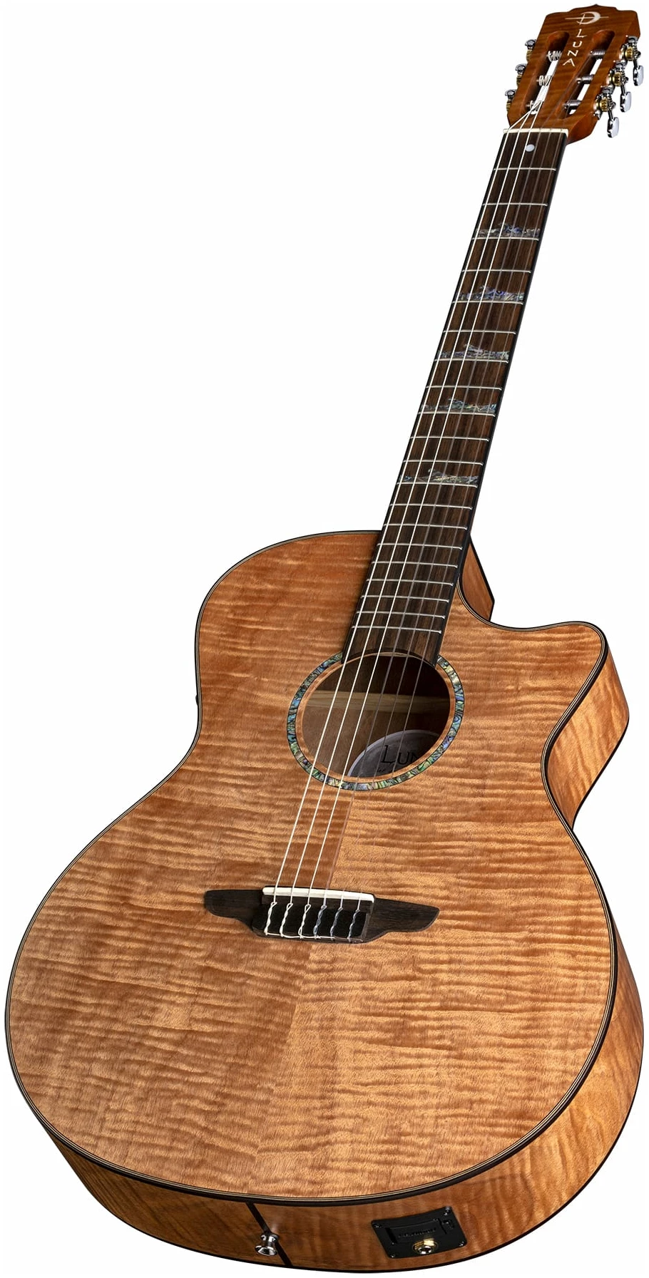 גיטרה קלאסית מוגברת מסדרת Exotic עם Cutaway 6 גיטרה קלאסית מוגברת מסדרת Exotic עם Cutaway - תמונה 6