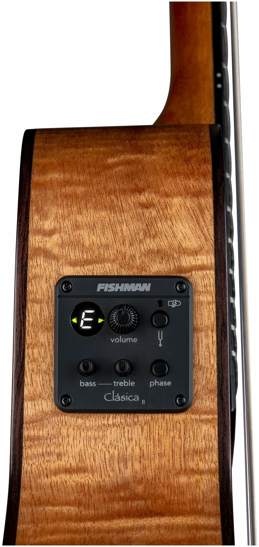 גיטרה קלאסית מוגברת מסדרת Exotic עם Cutaway 5 גיטרה קלאסית מוגברת מסדרת Exotic עם Cutaway - תמונה 5