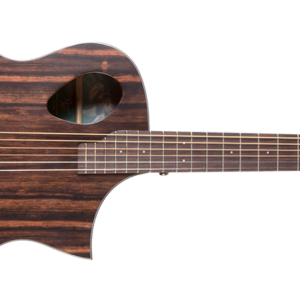 גיטרה אקוסטית מוגברת Michael Kelly Forte Port Exotic Java Ebony