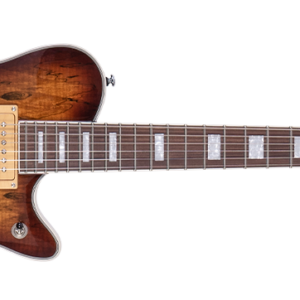 גיטרה חשמלית Michael Kelly Hybrid Special — עם פיקאפ אקוסטי Fishman
