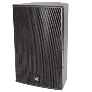 רמקול פסיבי Australian Monitor XDS 10