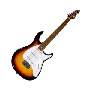 גיטרה חשמלית Peavey CUSTOM SUNB