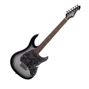 גיטרה חשמלית Peavey CUSTOM S.B