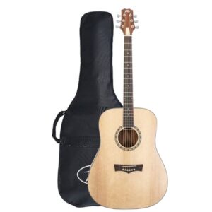 גיטרה אקוסטית Peavey DW-2 w/Bag
