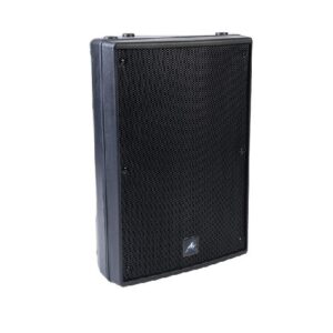 רמקול פסיבי Peavey XRS8B