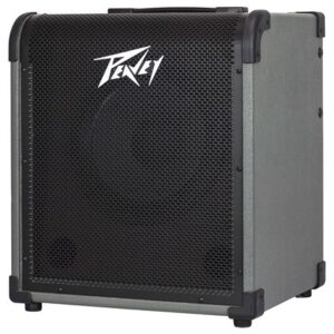 מגבר גיטרה Peavey MAX 100
