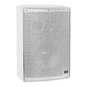 רמקול פסיבי VUE Audiotechnik i-8tw