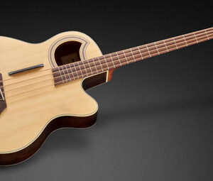 גיטרת בס אקוסטית Warwick RockBass Alien Deluxe 4 Natural