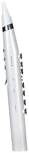 חליל דיגיטלי חכם Mooer | Wi100 WHT 4 חליל דיגיטלי חכם Mooer | Wi100 WHT - תמונה 4