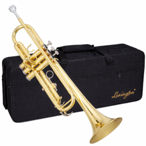 חצוצרה Lexington TP8001G Golden Lacquered