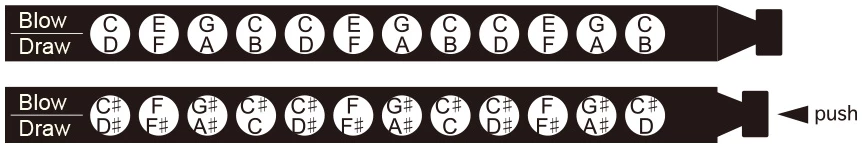 מפוחית כרומטית בציפוי Pink Gold יוקרתיTombo Cross System 2248 PG 2 מפוחית כרומטית בציפוי Pink Gold יוקרתיTombo Cross System 2248 PG
