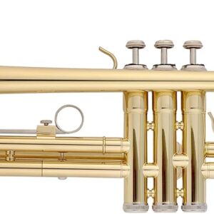 חצוצרה Lexington TP8001G Golden Lacquered