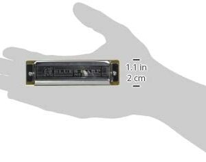 מפוחית הונר בלוז בסולם Hohner 532/20C C