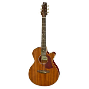 גיטרה אקוסטית מוגברת Aria FET-R1MH Mahogany