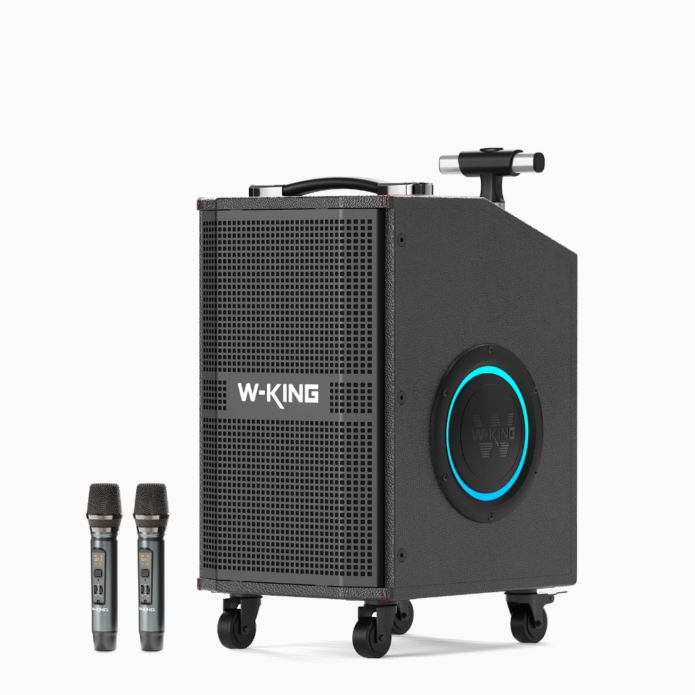 חבילת קריוקי משפחתית - W-KING K21SE 120W + ערכת קריוקי לילדים 2 W KING K21SE 120W בידורית+2 מיק