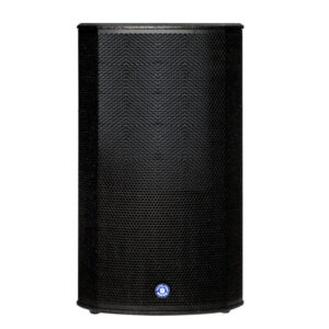 רמקול מוגבר “10 Topp Pro STARK 10A: עוצמת שיא אדירה של 2400W במארז קומפקטי מעץ עם מעבד DSP