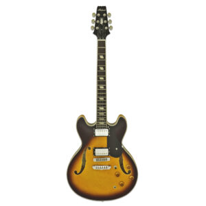 גיטרה חשמלית נפח Aria TA-CLASSIC BS (Brown Sunburst)